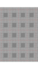 Audrey Dress #2 Shirt Collar 3/4 Sleeve Long Length Cotton Stretch (Savile Row Check Big White)