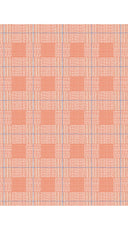 Aster Dress Shirt Collar 3/4 Sleeve Midi Length Cotton Musola (Savile Row Check Big White)