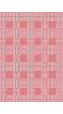 Aster Dress Shirt Collar 3/4 Sleeve Midi Length Cotton Musola (Savile Row Check Big White)