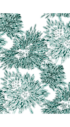 Aster Dress Shirt Collar 3/4 Sleeve Midi Length Cotton Musola (Shibori Sumire)