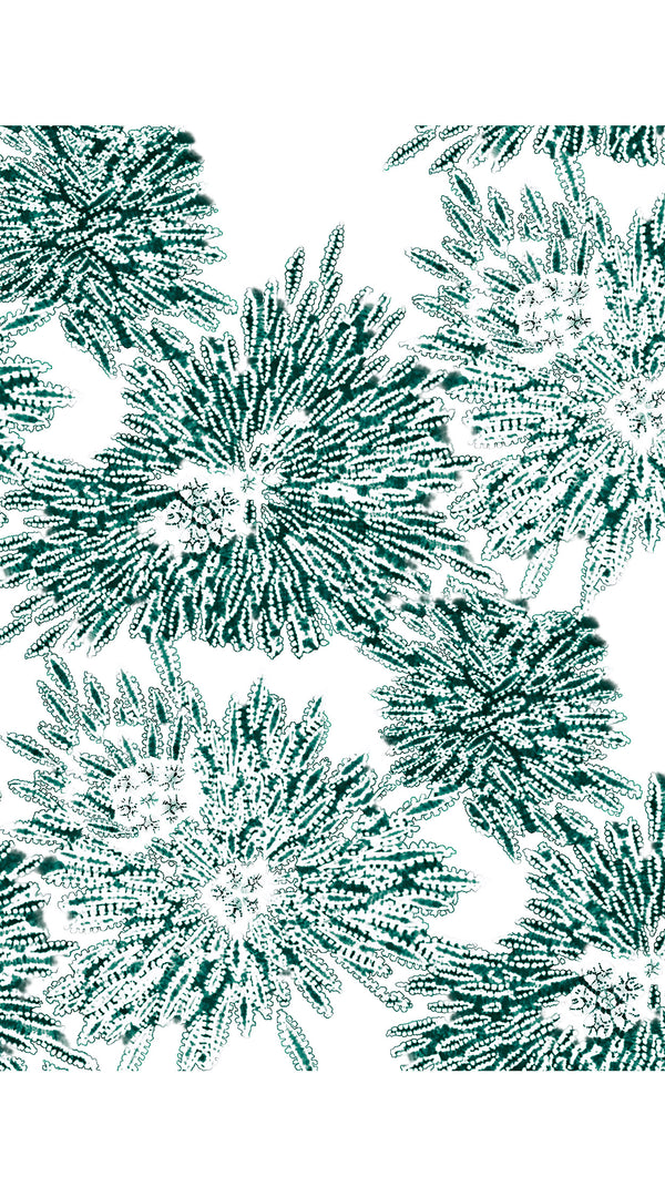 Aster Dress Shirt Collar 3/4 Sleeve Midi Length Cotton Musola (Shibori Sumire)