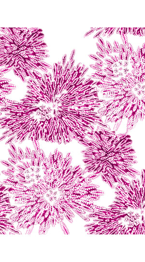 Aster Dress Shirt Collar 3/4 Sleeve Midi Length Cotton Musola (Shibori Sumire)