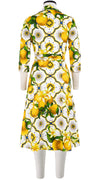 Olivia Dress Shirt Collar 3/4 Sleeve Long Length Cotton Stretch (Sicilian Lemon All Over)