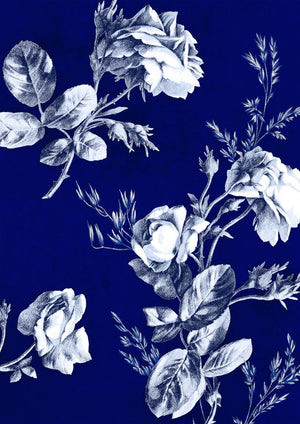 Audrey Dress #1 Shirt Collar 3/4 Sleeve Long Length Cotton Stretch (Thorn Bud Rose Small Ground)