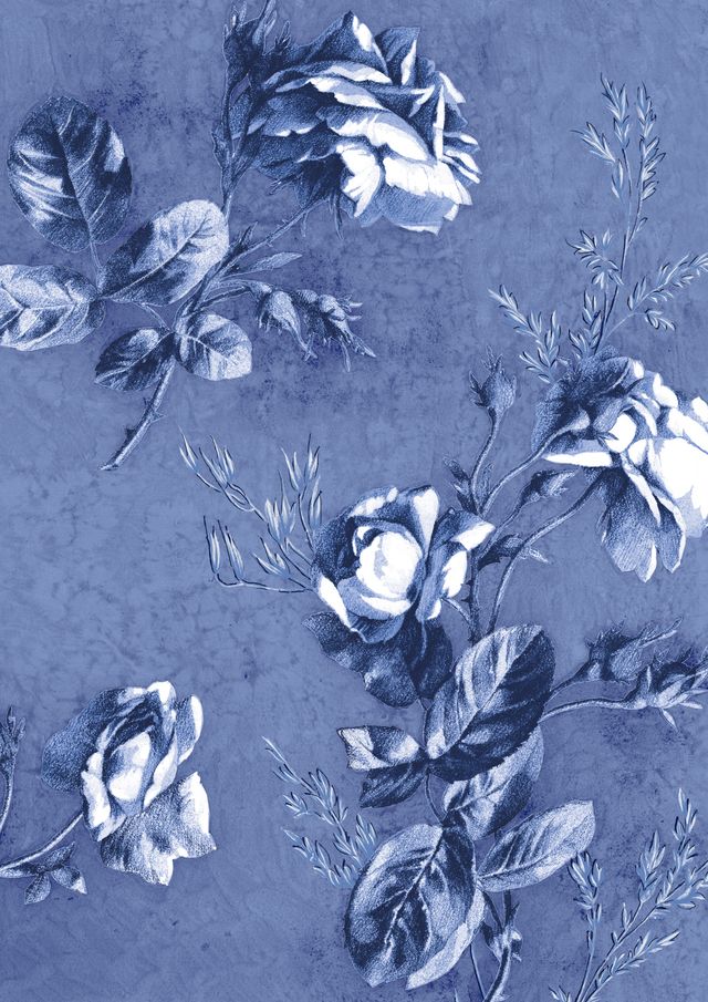 Audrey Dress #1 Shirt Collar 3/4 Sleeve Long Length Cotton Stretch (Thorn Bud Rose Small Ground)