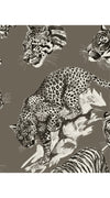 Hepburn Dress Shirt Collar 3/4 Sleeve Long Length Cotton Stretch (Tiger Toile Multi)