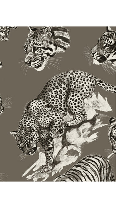 Hepburn Dress Shirt Collar 3/4 Sleeve Long Length Cotton Stretch (Tiger Toile Multi)