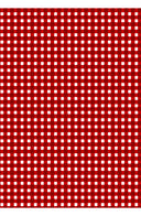 Laurent Dress Shirt Collar 3/4 Sleeve Midi Length Cotton Stretch (Toto Gingham)
