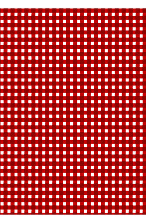 Laurent Dress Shirt Collar 3/4 Sleeve Midi Length Cotton Stretch (Toto Gingham)