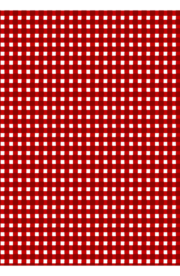 Laurent Dress Shirt Collar 3/4 Sleeve Midi Length Cotton Stretch (Toto Gingham)