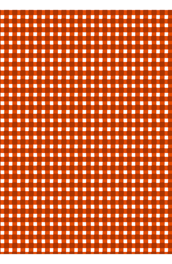 Laurent Dress Shirt Collar 3/4 Sleeve Midi Length Cotton Stretch (Toto Gingham)