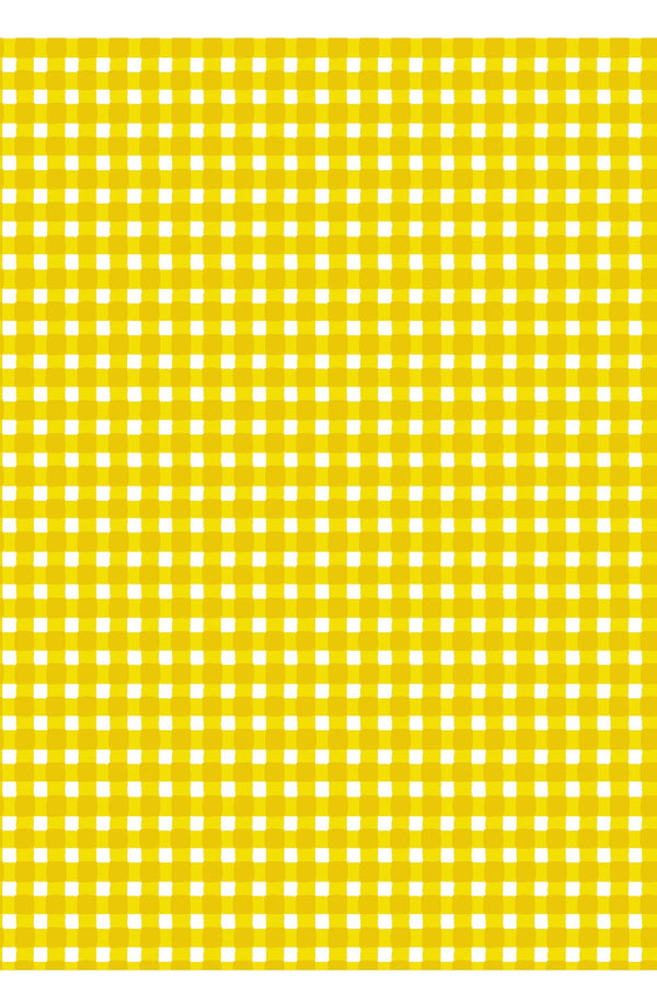 Laurent Dress Shirt Collar 3/4 Sleeve Midi Length Cotton Stretch (Toto Gingham)