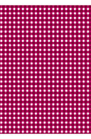 Laurent Dress Shirt Collar 3/4 Sleeve Midi Length Cotton Stretch (Toto Gingham)