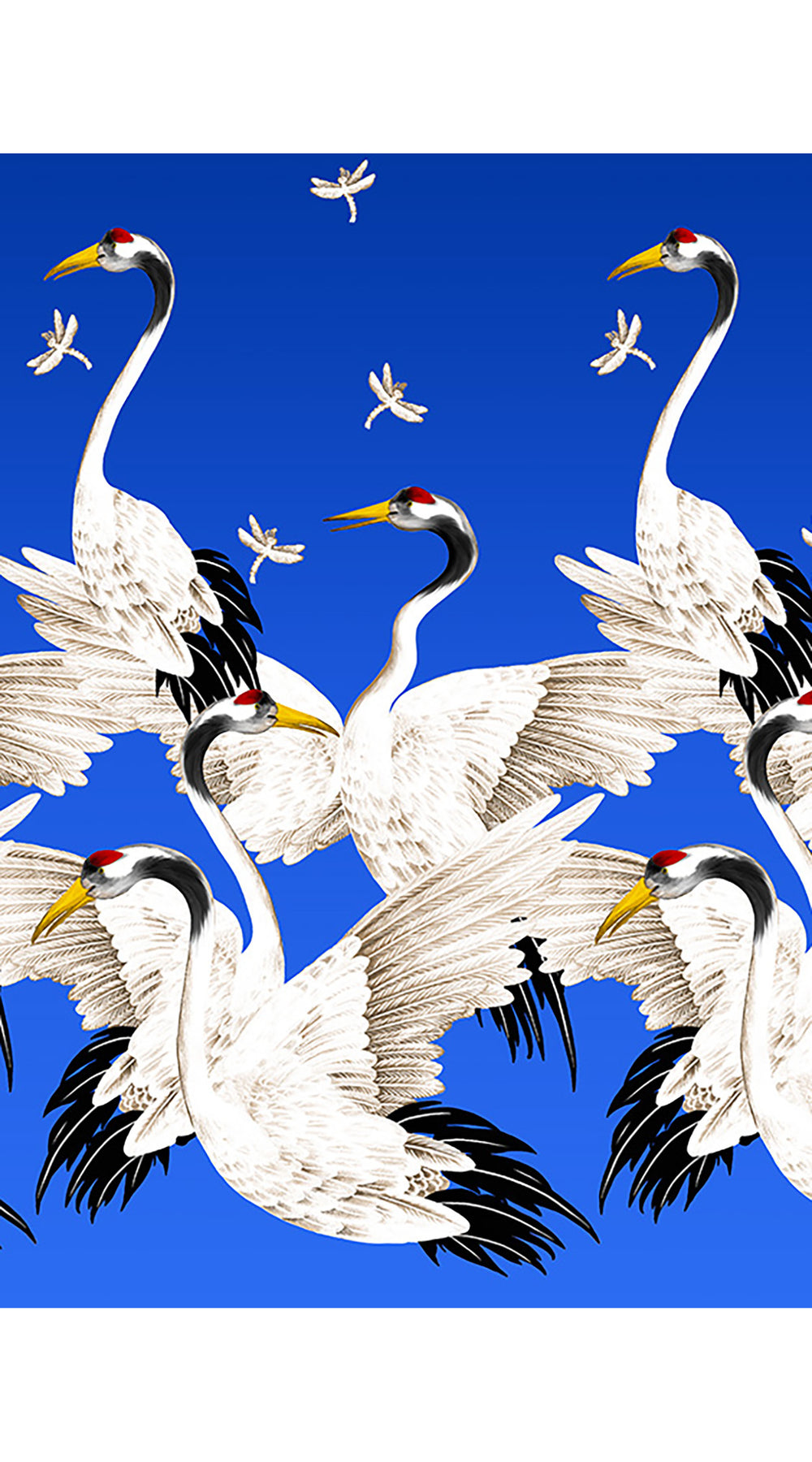 Audrey Dress #4 Shirt Collar 3/4 Sleeve Midi Length Cotton Stretch (White Crane Ombre)