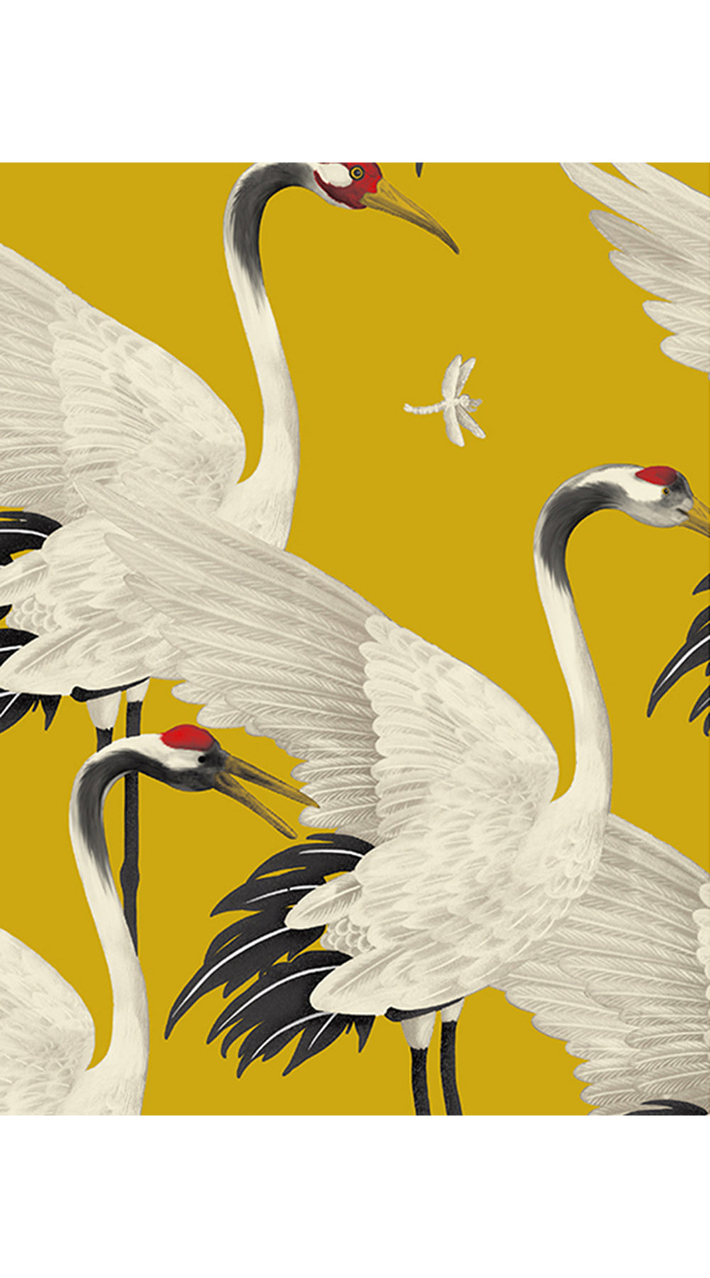 Rose Dress Jewel Neck Sleeveless Petite Length Cotton Stretch (White Crane All Over)