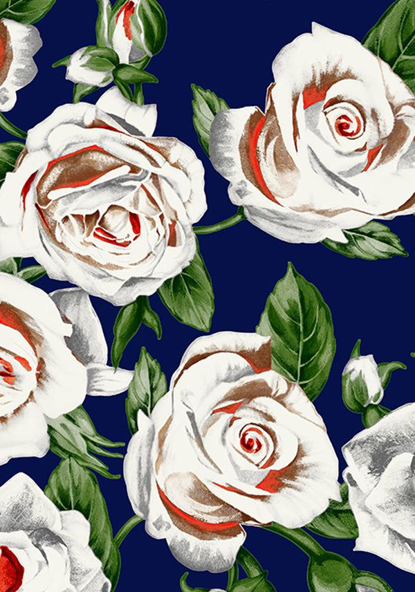 White Rose Bright_Indigo_CS_24y