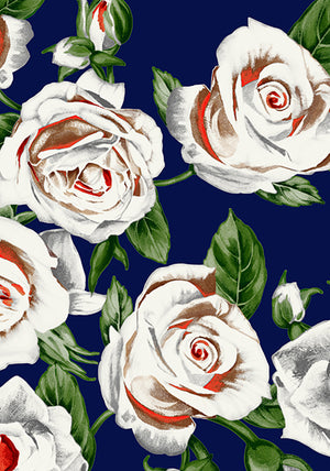 White Rose Bright_Indigo_CS_24y