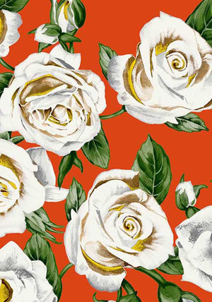 White Rose Bright_Orange_CS_24y