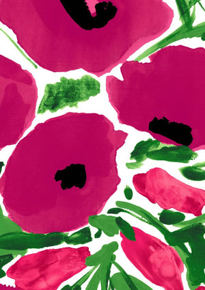 Katharine Shirt 3/4 Sleeve Cotton Stretch (Fiori Poppy Big White)