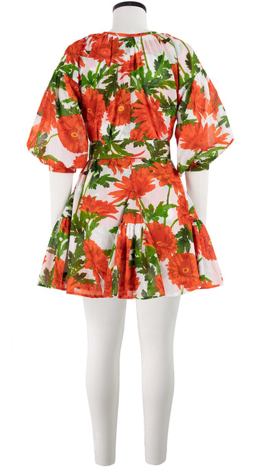 Birdy Dress Crew Neck Slit 3/4 Puff Sleeve with Hamilton Belt Mini Length Cotton Musola (Anemon Naples All Over)