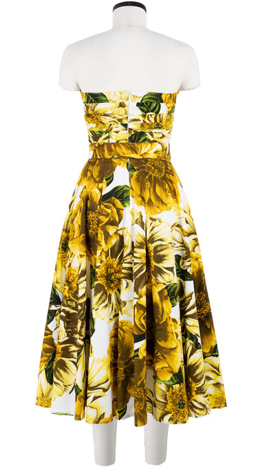 Carol Dress Tube Strapless with Hamilton Belt Midi Length Cotton Stretch (Giant Poppy White)