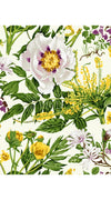 Olivia Dress Shirt Collar 3/4 Sleeve Long Length Cotton Stretch (Goldenrod Flower)