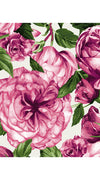 Audrey Dress #2 Shirt Collar 3/4 Sleeve Long Length Cotton Stretch (Peony Bloom)