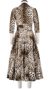 Gigi Dress Shirt Collar 3/4 Sleeve Midi Length Cotton Stretch (Pierre Leoparde)
