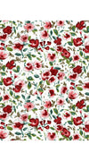 Audrey Dress #2 Shirt Collar 3/4 Sleeve Midi Length Cotton Stretch (Springfield Flower)